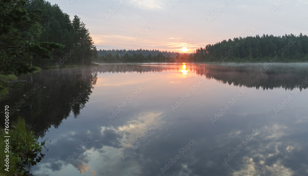 Morning in pond Morning in pond