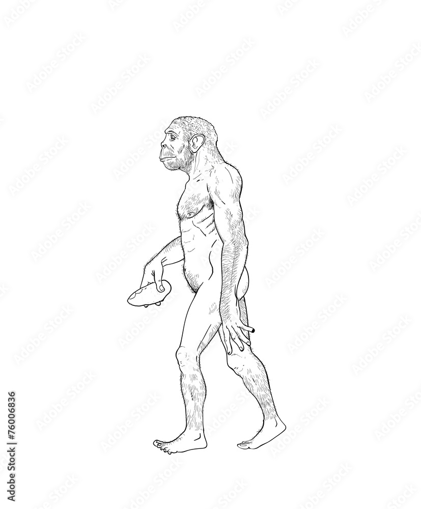 Obraz premium Human evolution illustration