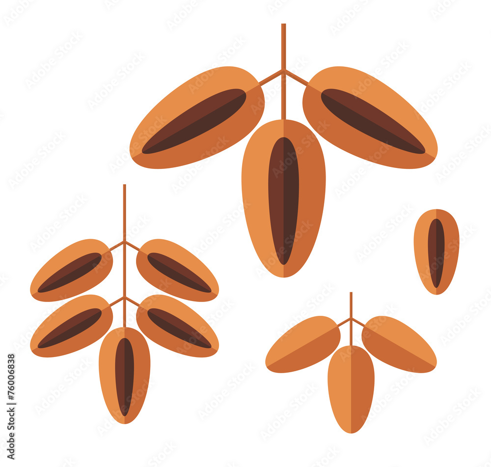 Date. Fruit Stock Vector | Adobe Stock