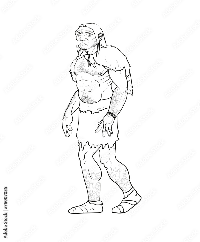 Human evolution illustration