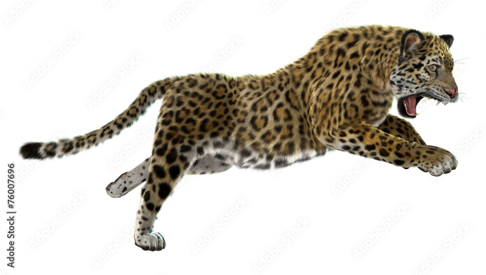 Naklejka premium Wild Jaguar