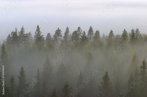 Morning mist © Lars Johansson