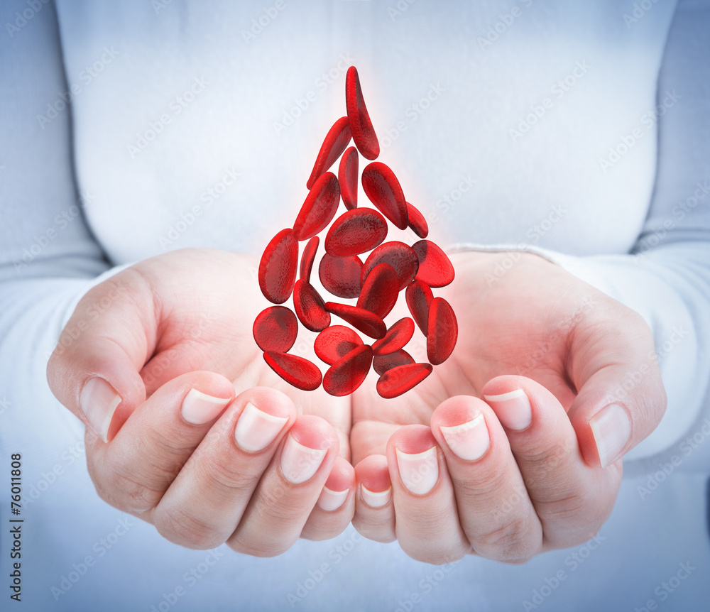 blood cells in hands - shaped blood drop - donation concept - obrazy, fototapety, plakaty 