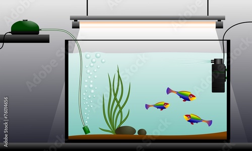 Aquarium. Aquarium equipment.