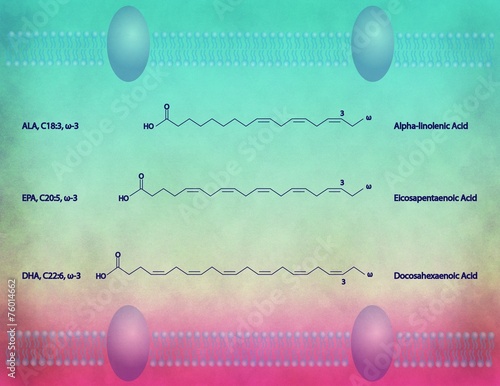 ω-3 lipids