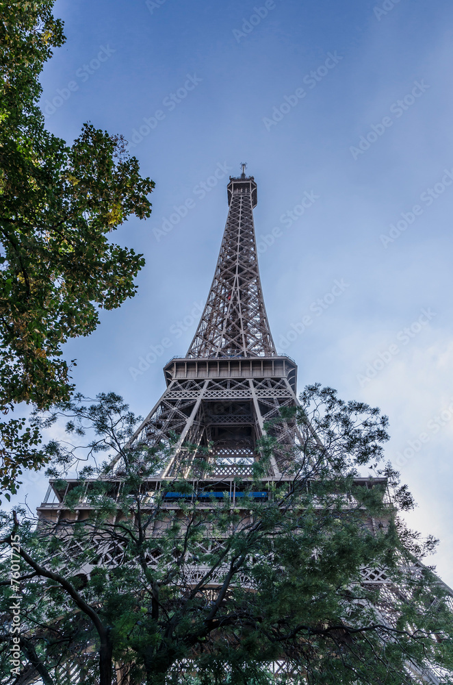 Eiffel tower park view