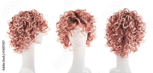 Принти на полотні Hair wig over the mannequin head