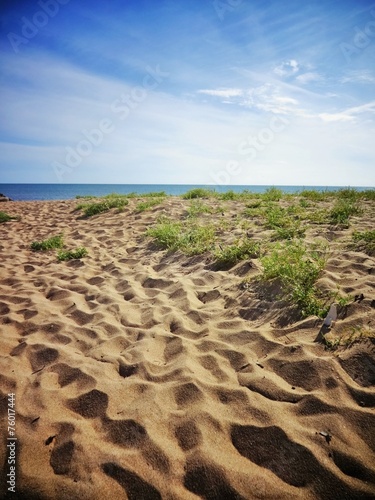 plage Ile d ol  ron