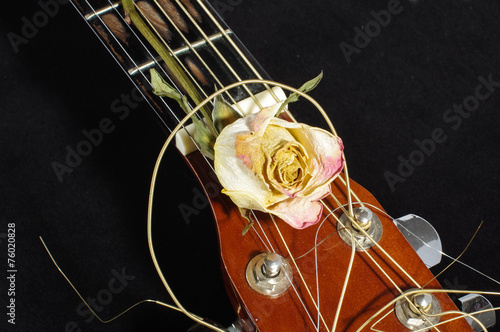 Acoustic guitar and wilted rose flower