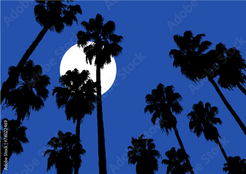 Nice night sky