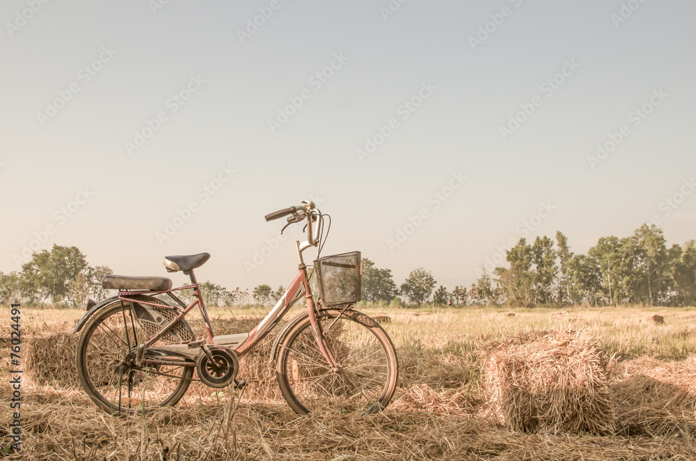 Fototapeta premium Beautiful landscape image with Bicycle