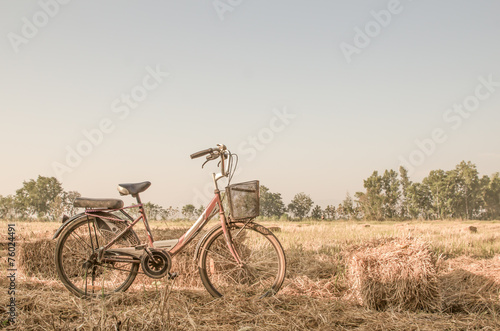 Beautiful landscape image with Bicycle