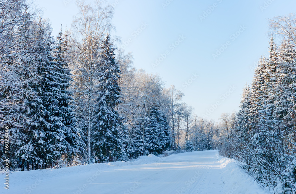 Obraz premium Winter road in snowy forest on a sunny frosty day
