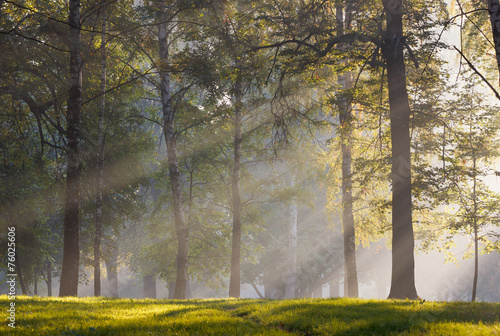 Sun rays in the morning mist in the park in early autumn