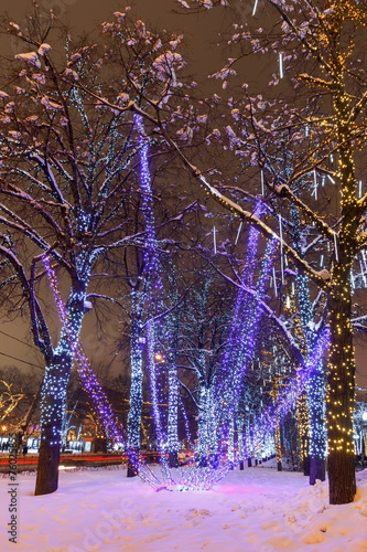 Новогоднее световое украшение города - гирлянды на деревьях photo