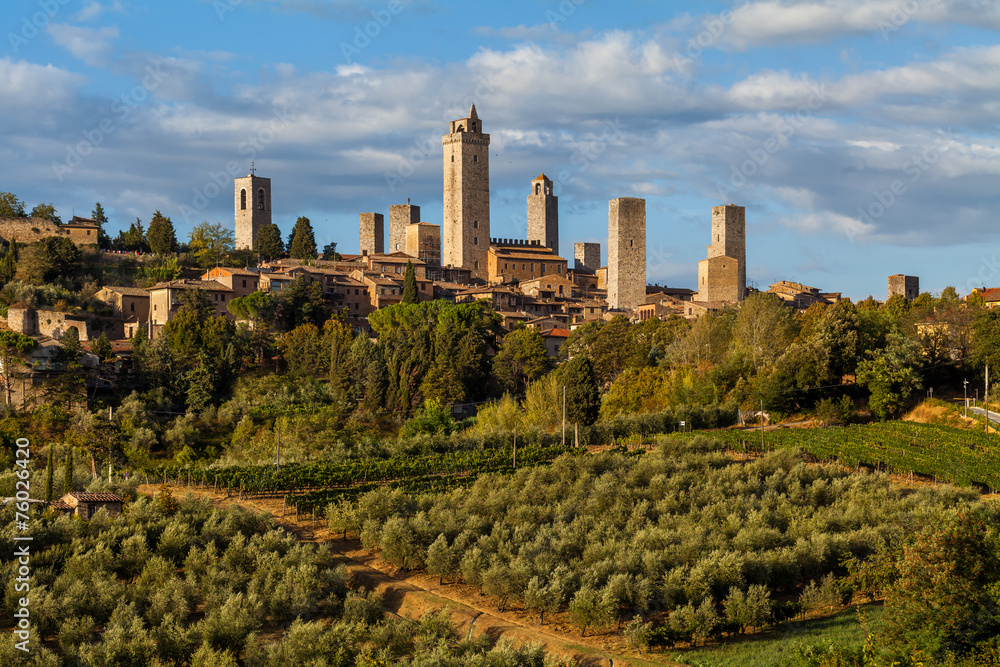 San Gimignano - Olivenhaine - obrazy, fototapety, plakaty 