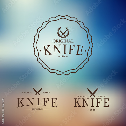Vector logo with a set of knives on abstract background.