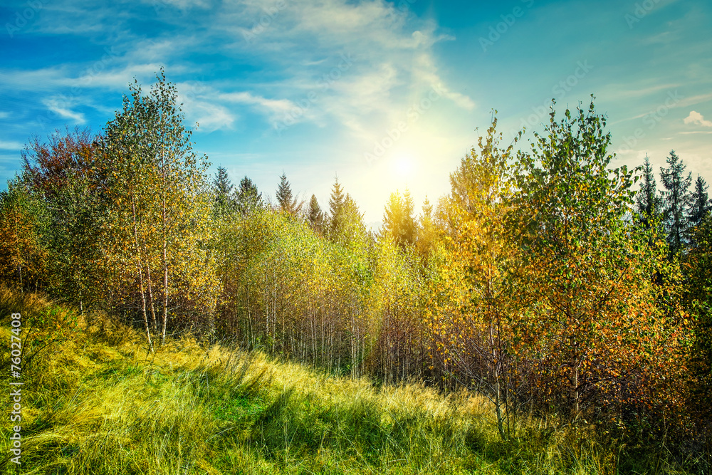 Autumn mountain  landscape