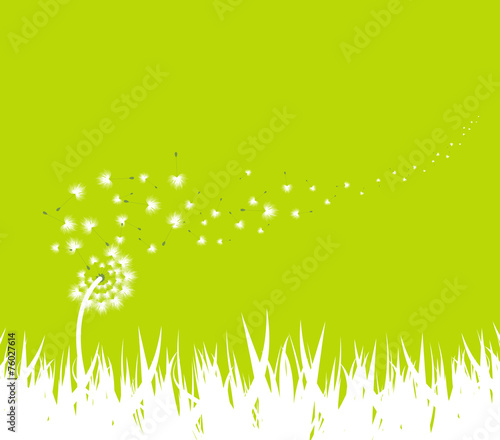 spring with dandelion background