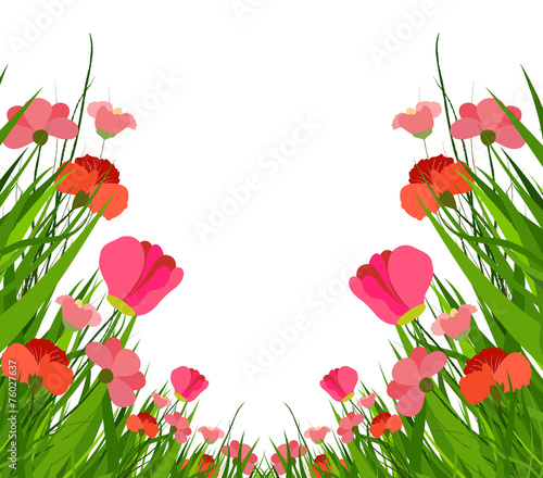 spring flower