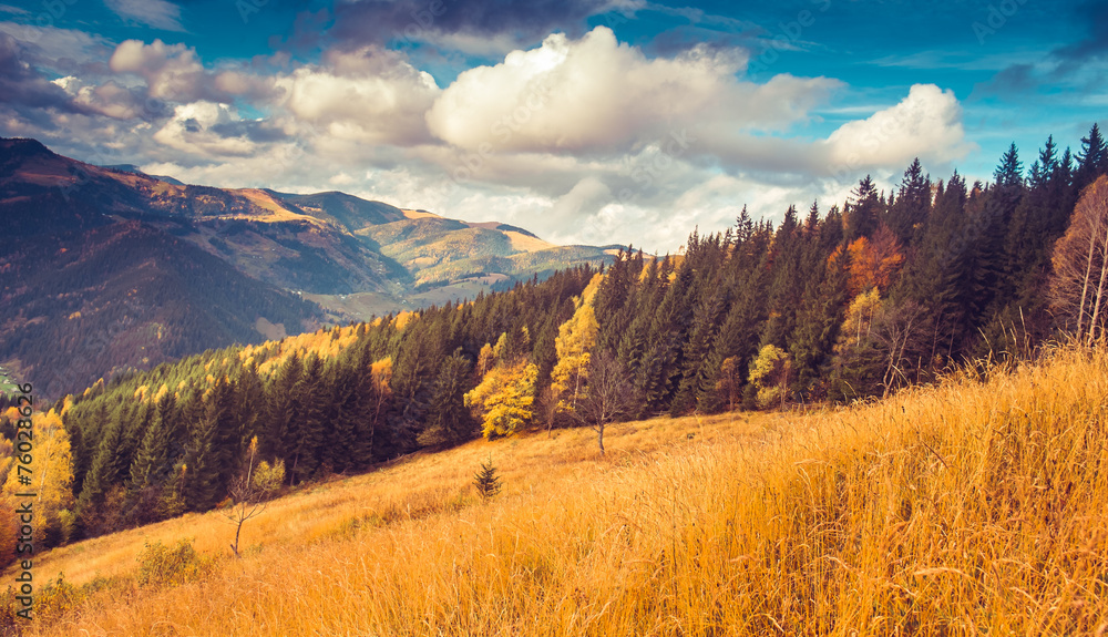 Fantastic sunny hills