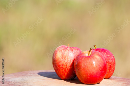 Apples on wooden block on meadow background