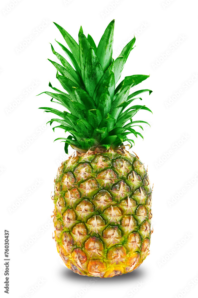 Pineapple Pineapple