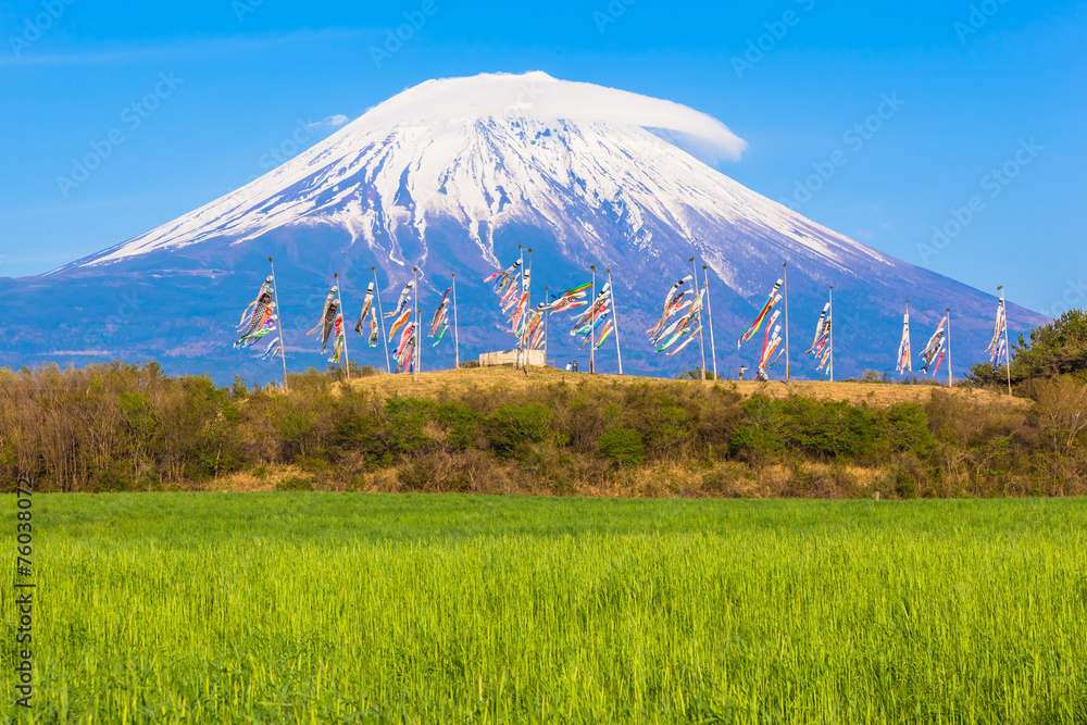 Fototapeta premium Carp banners and Mount Fuji at 5th, May