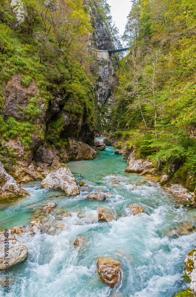 Tolmin gorge, nature, Slovenia Tolmin gorge, nature, Slovenia