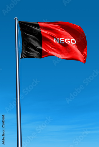 Paraiba (Brazil) flag waving on the wind