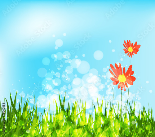 spring is coming with sunflowers