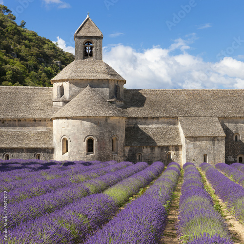 Abbey of Senanque and lavander field