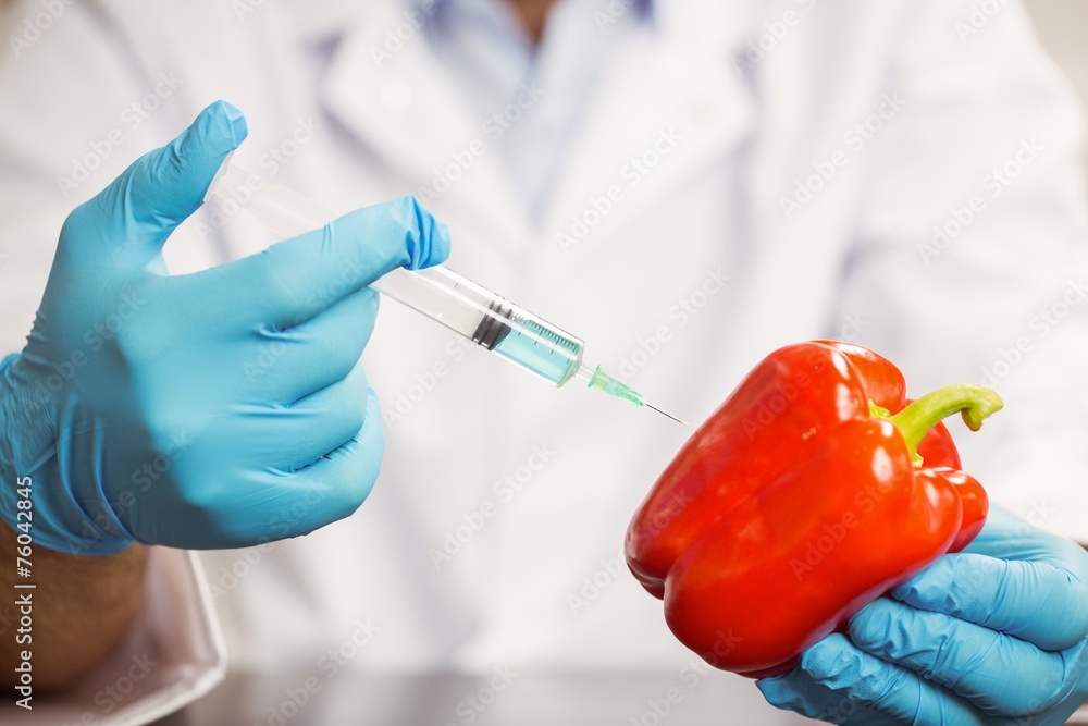 Food scientist injecting a pepper Food scientist injecting a pepper