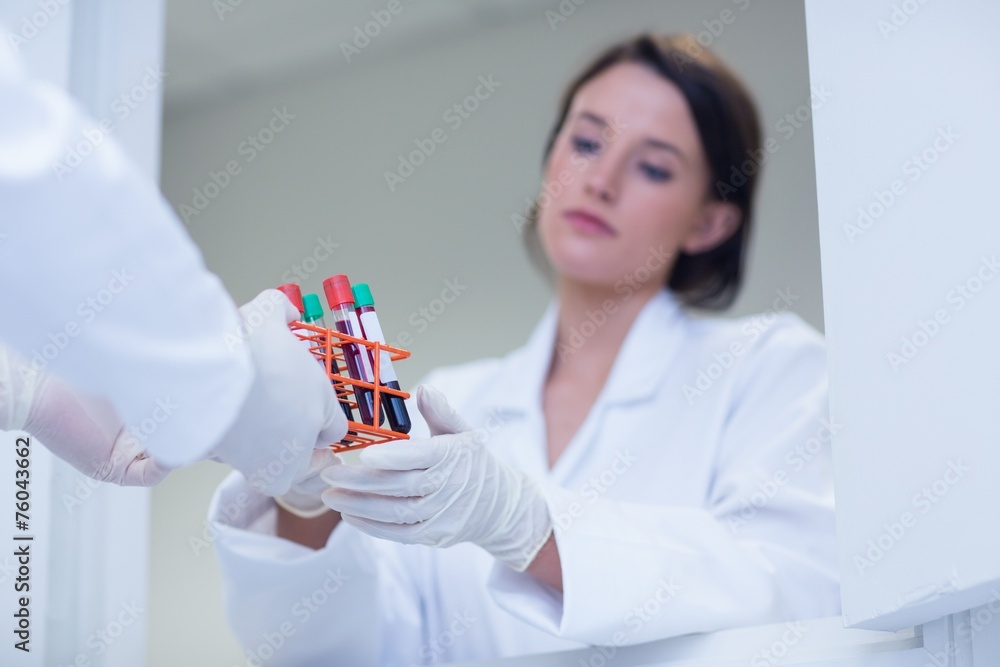 Biologist giving blood sample to his colleague Biologist giving blood sample to his colleague