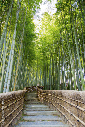Bamboo forest walkway near adashinonenbutsuji temple, Kyoto