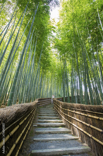 Fototapeta Naklejka Na Ścianę i Meble -  Bamboo forest walkway near adashinonenbutsuji temple, Kyoto