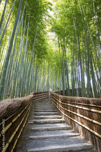 Fototapeta Naklejka Na Ścianę i Meble -  Bamboo forest walkway near adashinonenbutsuji temple, Kyoto