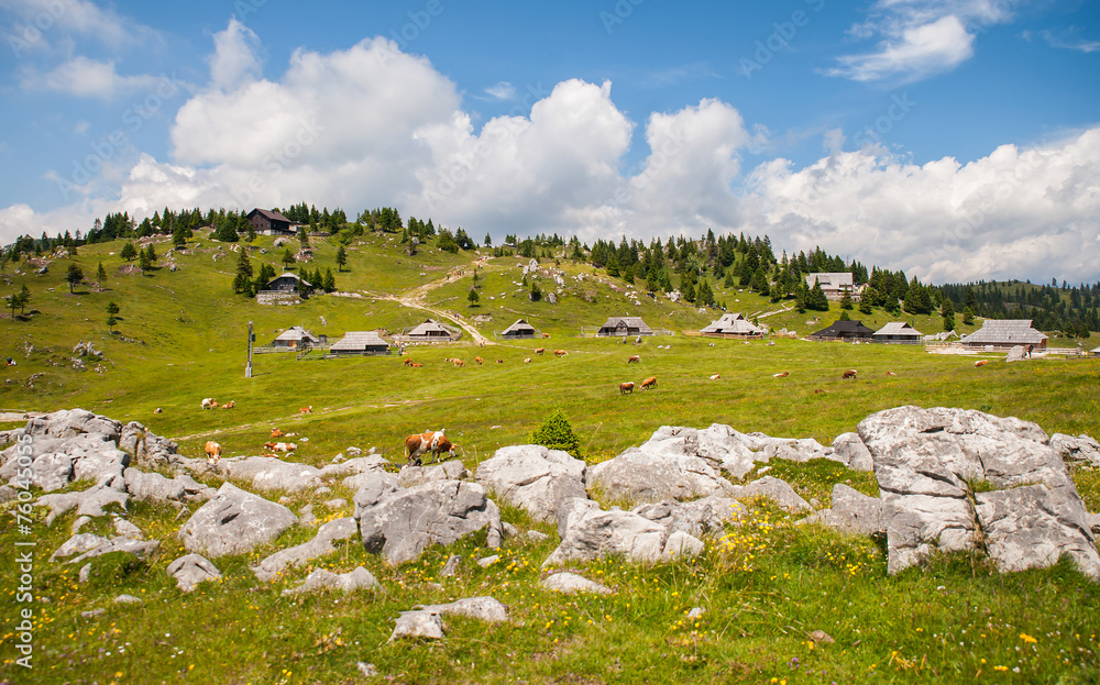 Velika Planina hill, Slovenia, Central Europe