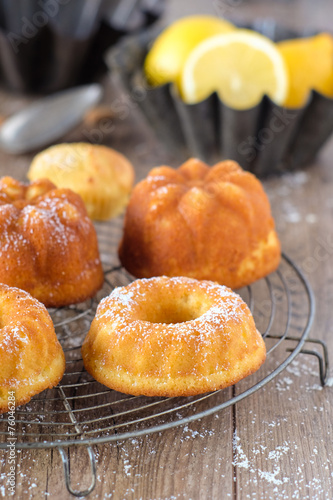 Kleine Kuchen und Gugl auf Kuchengitter photo