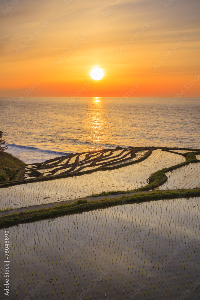 Obraz premium Rice terraces at sunset, Shiroyone senmaida