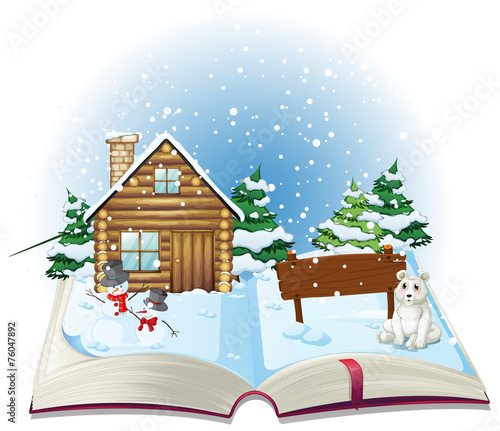 Winter book