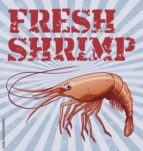 Shrimp