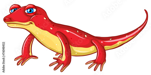 Lizard