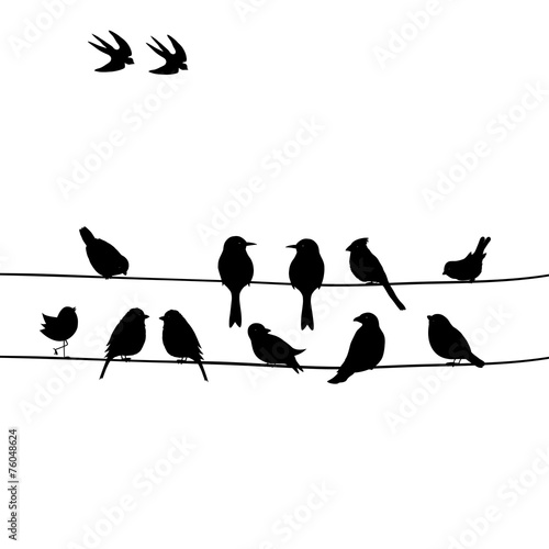 Canvas Print Cute black birds on a wire