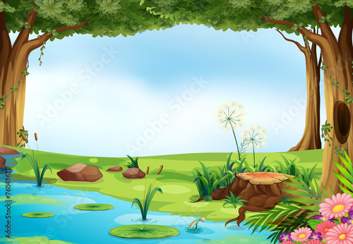 Pond