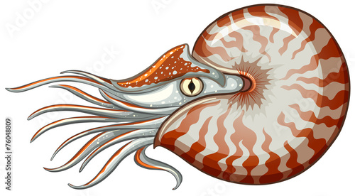 Sea animal