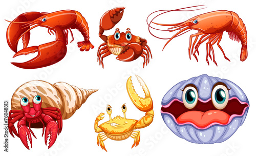 Sea animals