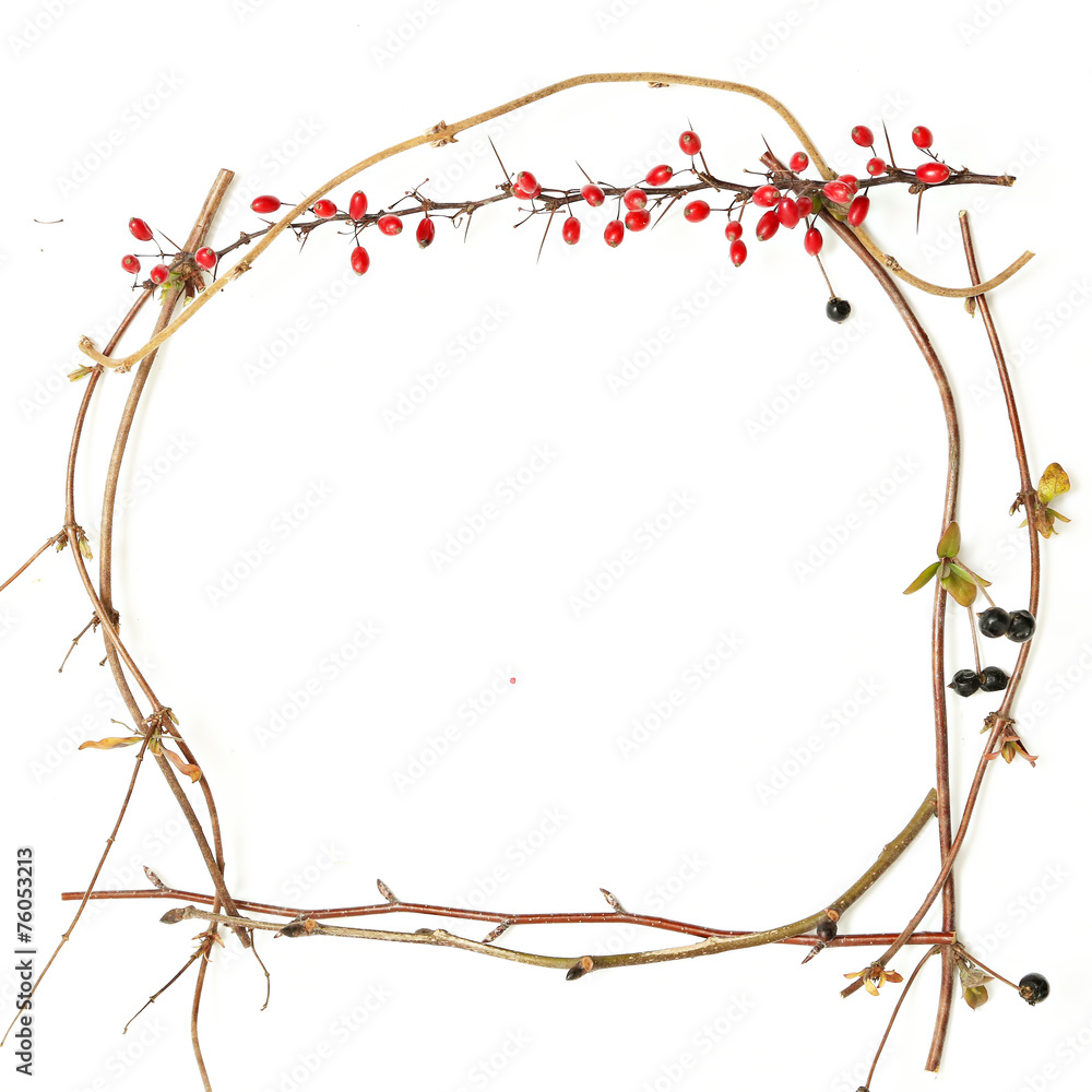 Frame of branches on white background Frame of branches on white background