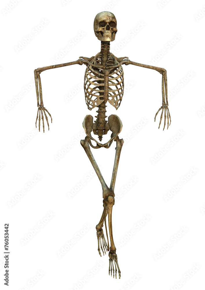 Dancing Skeleton Dancing Skeleton