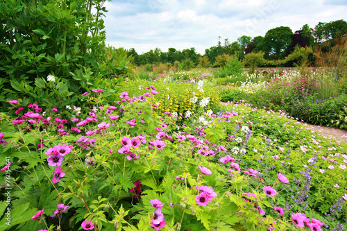 Fototapeta Naklejka Na Ścianę i Meble -  Beautiful garden full of flowers